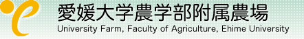 愛媛大学農学部附属農場