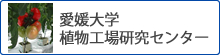 愛媛大学植物工場研究センター