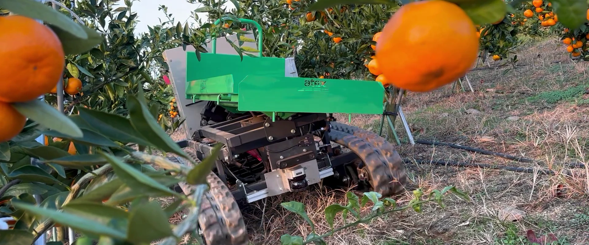 研究室スライド 2