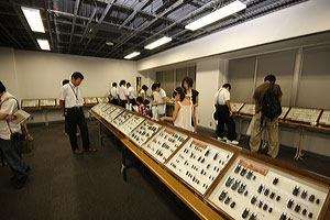 標本展示コーナー