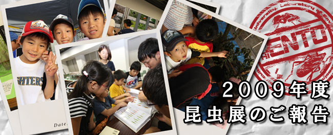 2009年度昆虫展のご報告