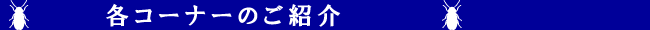 各コーナーのご紹介