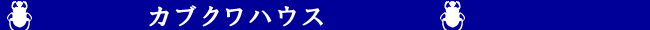 カブクワハウス