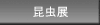 昆虫展