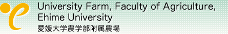 Experimental farm, Faculty of Agriculture, Ehime University