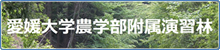 forest used for research attached to Faculty of Agriculture, Ehime University