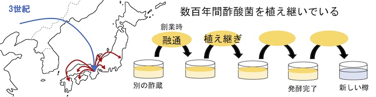 継代培養