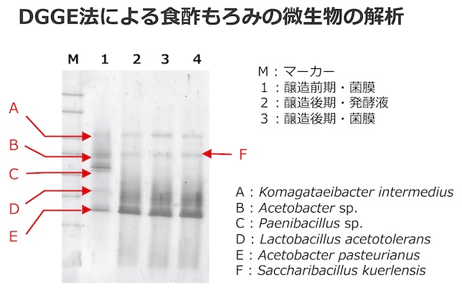 香川菌叢比較