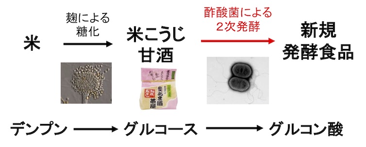 製造工程