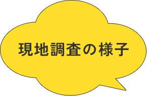現地調査の様子