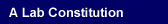 A Lab Constitution