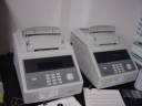 ȂPCR