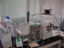 veI[͗pLC/Ms/Ms