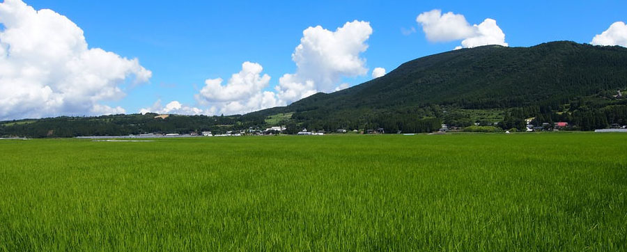 地域環境整備学