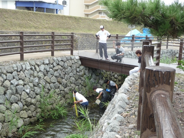 道後平野の地下水保全1