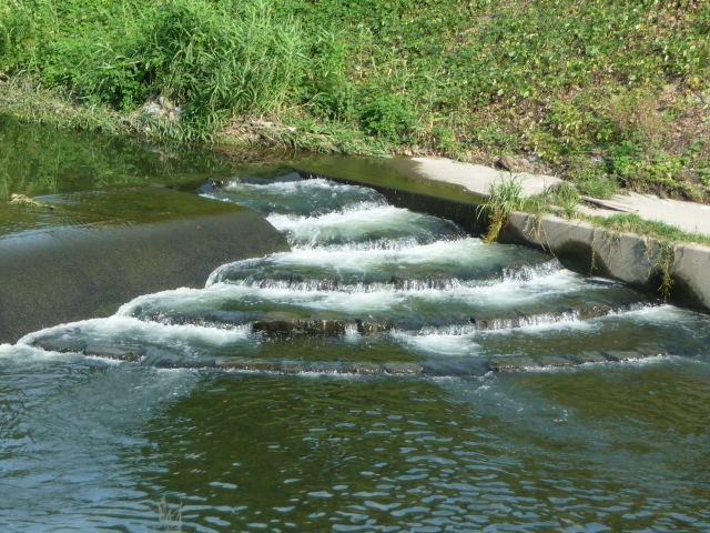 魚道の流況解析1