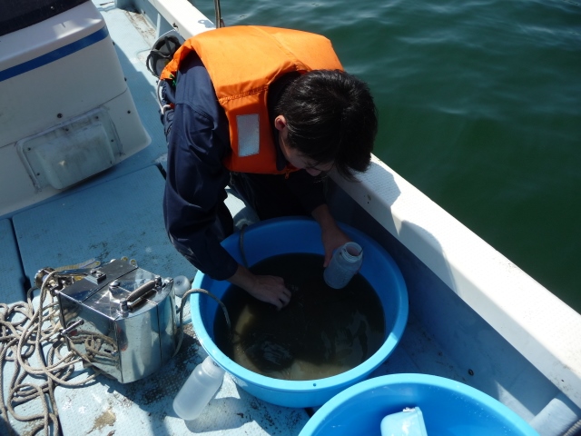 海底底上げにともなう海域環境への影響評価1